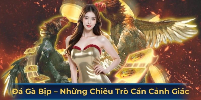 đá gà bịp